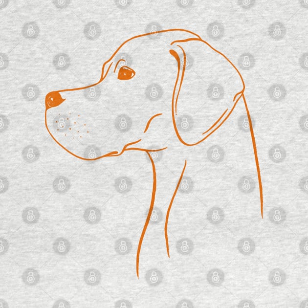 English Pointer (White and Orange) by illucalliart